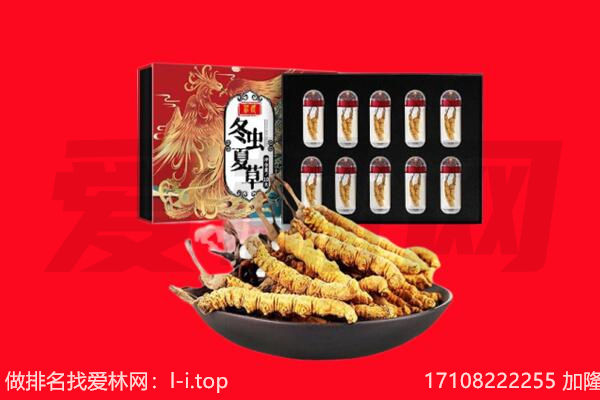阳泉市回收虫草.jpg